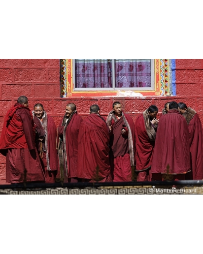 MR4577 Monks practicing philosophy