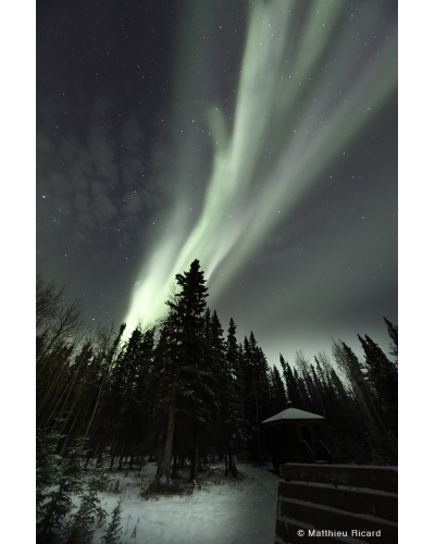 MR5800 Aurora borealis near Carcross, Yukon, Canada