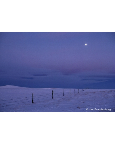 P641 Prairie winter moonrise -collection de Nol