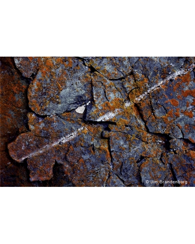 Day51 Orange lichen with quartz
