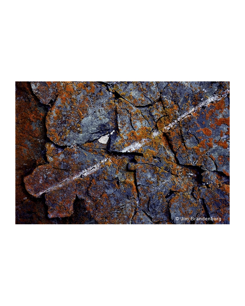 Day51 Orange lichen with quartz