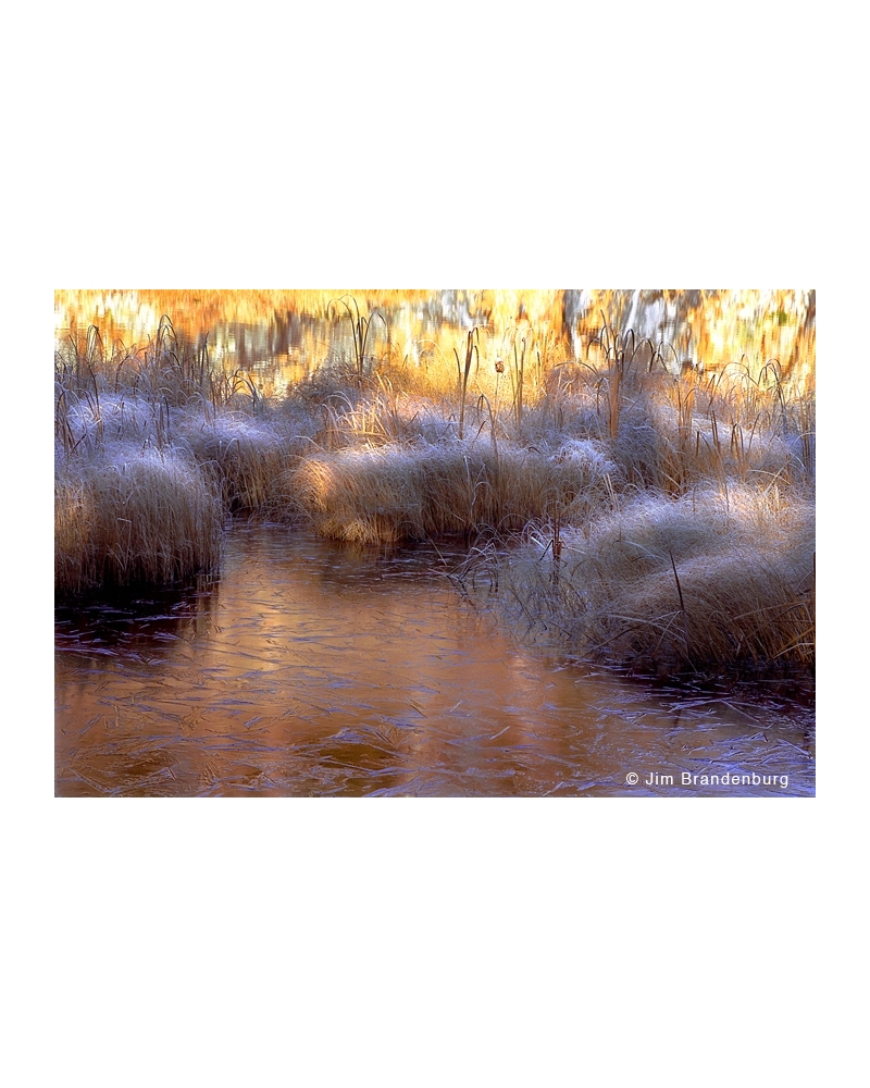 Day54 Pond ice