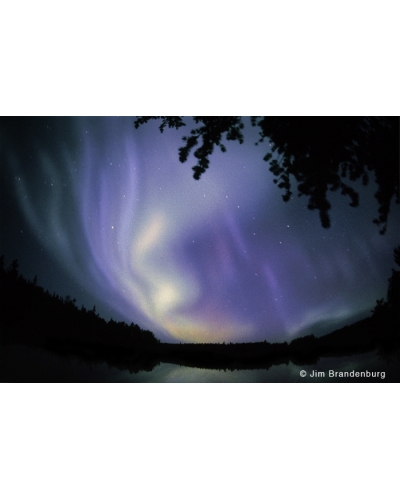 NW565 Aurora borealis