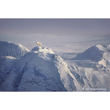 Photo art : the arctic by Jim Brandenburg