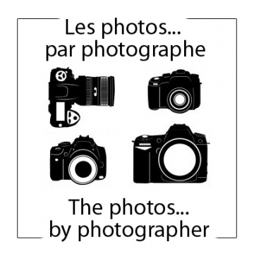 The photographs... by photographer